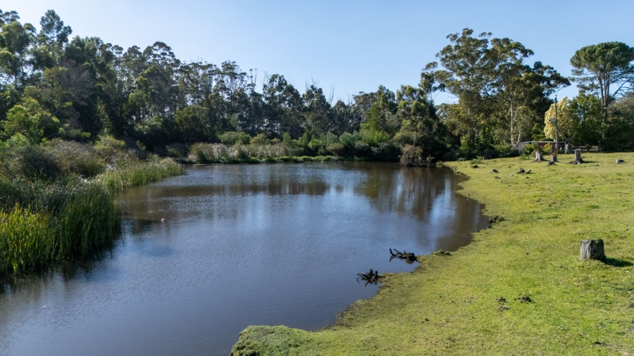 Commercial Property for Sale in Plettenberg Bay Rural Western Cape